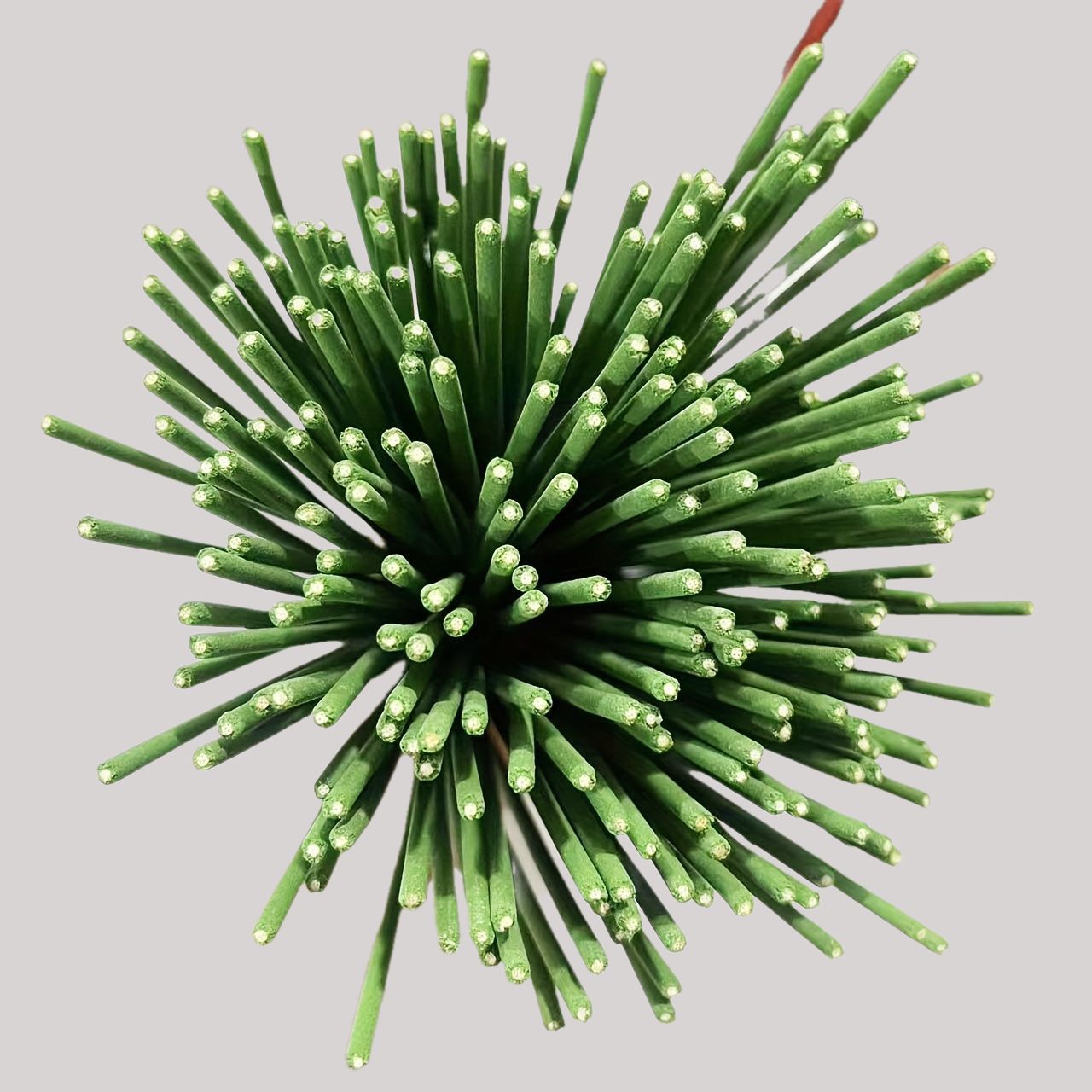 Reed Diffuser Sticks Lemongras - огляд і ціна Home Fragrance Premium